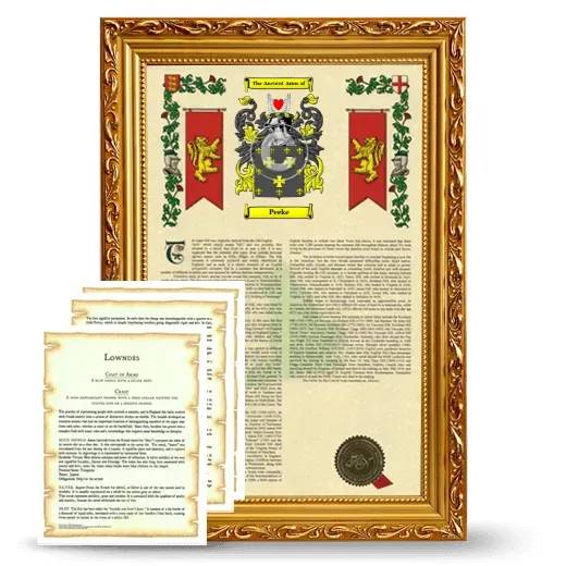 Peeke Framed Armorial History and Symbolism - Gold