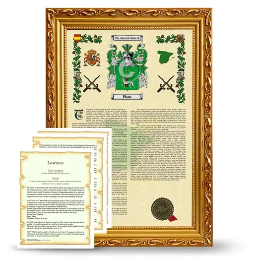 Plaza Framed Armorial History and Symbolism - Gold