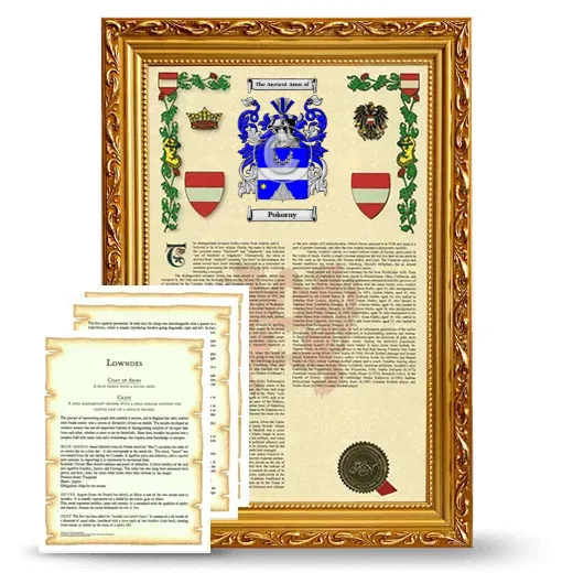 Pokorny Framed Armorial History and Symbolism - Gold