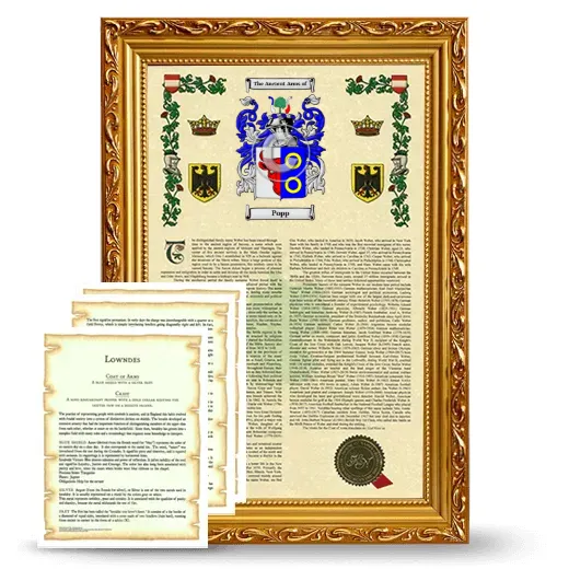 Popp Framed Armorial History and Symbolism - Gold