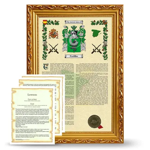 Pradillos Framed Armorial History and Symbolism - Gold
