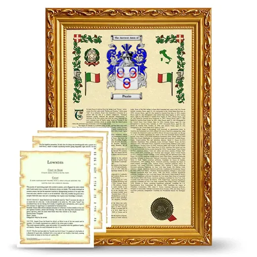 Puzio Framed Armorial History and Symbolism - Gold