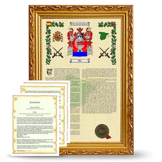 Rio Framed Armorial History and Symbolism - Gold