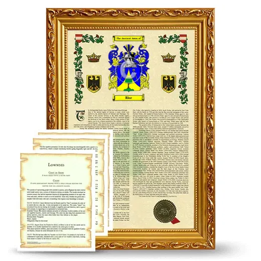Rise Framed Armorial History and Symbolism - Gold