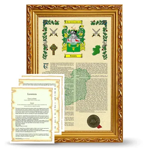 Ronney Framed Armorial History and Symbolism - Gold