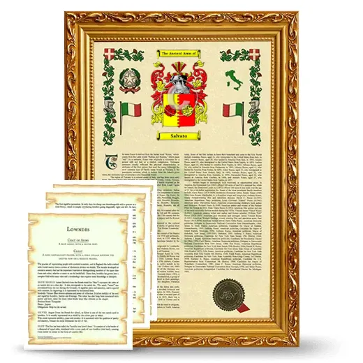 Salvato Framed Armorial History and Symbolism - Gold