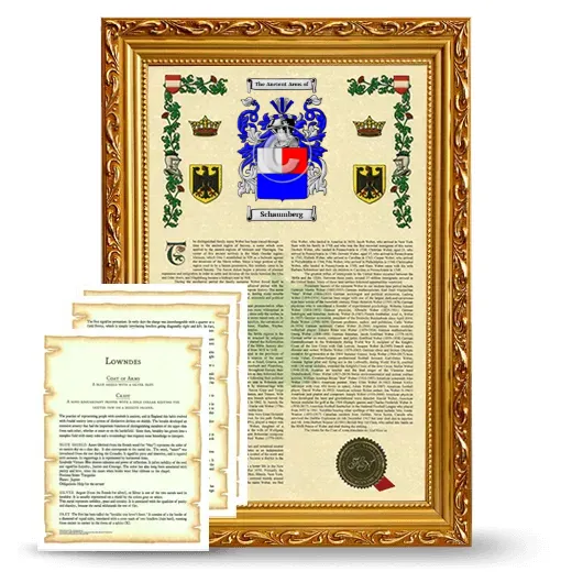 Schaumberg Framed Armorial History and Symbolism - Gold