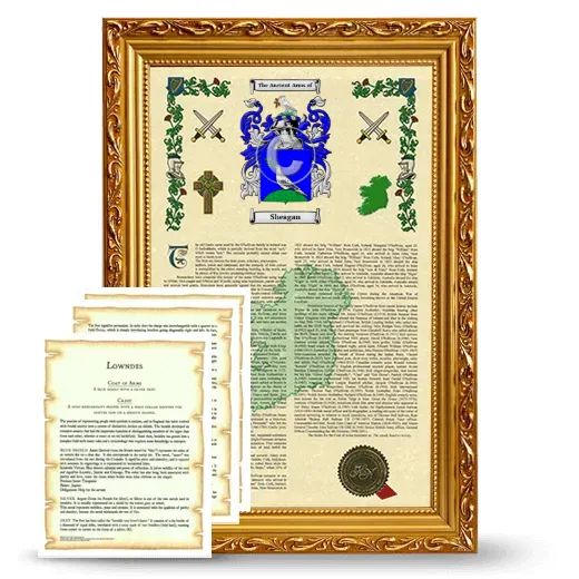 Sheagan Framed Armorial History and Symbolism - Gold