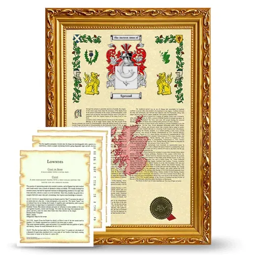 Sprund Framed Armorial History and Symbolism - Gold