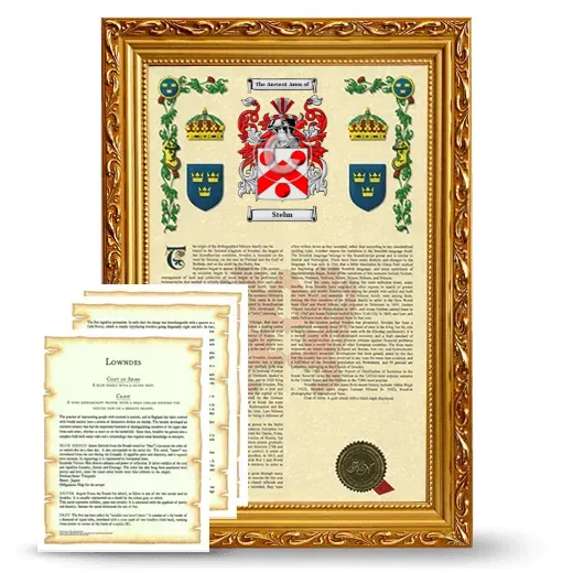 Stehn Framed Armorial History and Symbolism - Gold