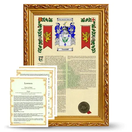 Teasdall Framed Armorial History and Symbolism - Gold