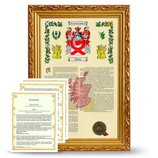Teater Framed Armorial History and Symbolism - Gold