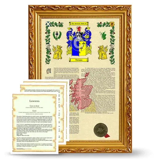 Terwas Framed Armorial History and Symbolism - Gold