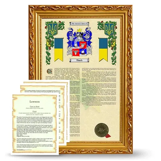 Tkach Framed Armorial History and Symbolism - Gold