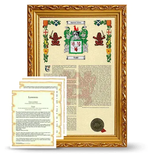 Todd Framed Armorial History and Symbolism - Gold
