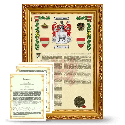 Toggenburg Framed Armorial History and Symbolism - Gold