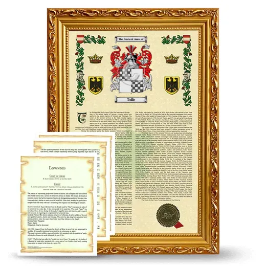 Tolle Framed Armorial History and Symbolism - Gold