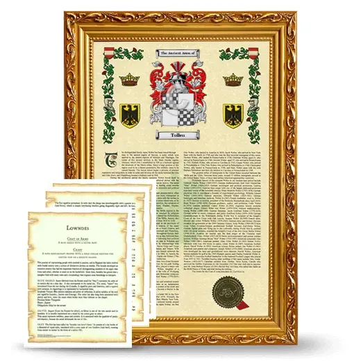 Tollen Framed Armorial History and Symbolism - Gold