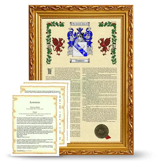 Tomasso Framed Armorial History and Symbolism - Gold