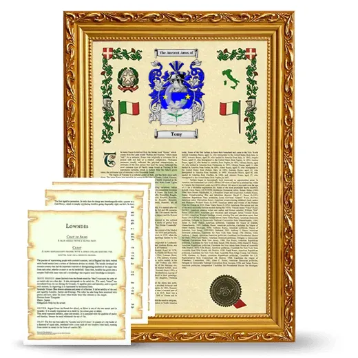 Tony Framed Armorial History and Symbolism - Gold