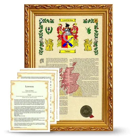 Torian Framed Armorial History and Symbolism - Gold