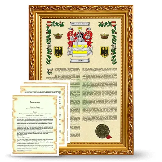 Traube Framed Armorial History and Symbolism - Gold