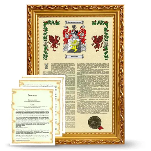 Trevore Framed Armorial History and Symbolism - Gold
