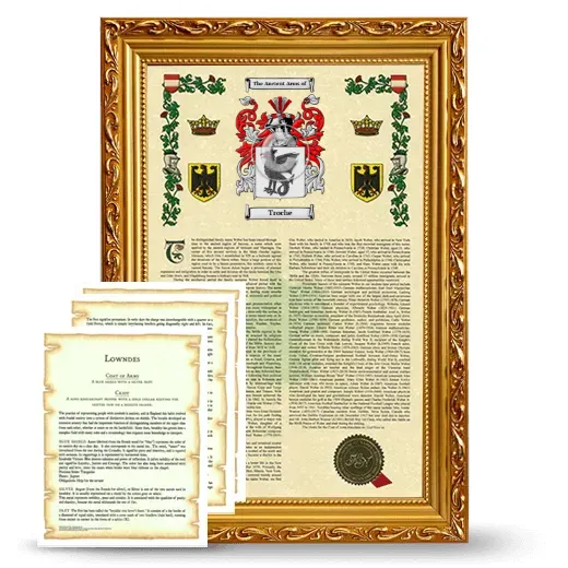 Troche Framed Armorial History and Symbolism - Gold