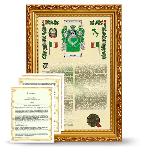 Tropea Framed Armorial History and Symbolism - Gold