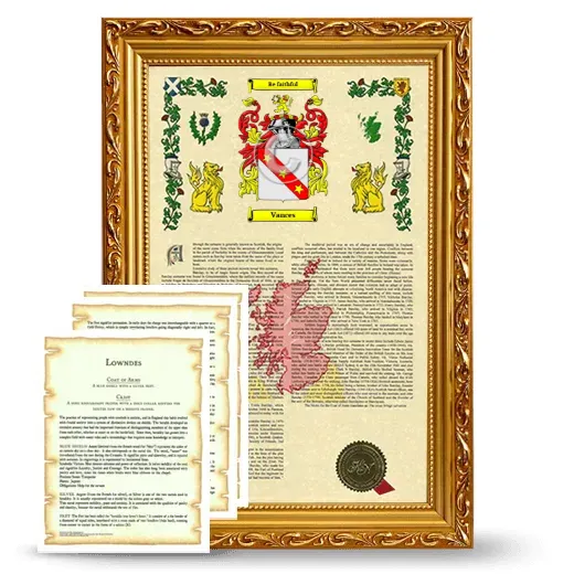Vances Framed Armorial History and Symbolism - Gold