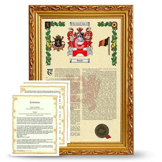 Vante Framed Armorial History and Symbolism - Gold