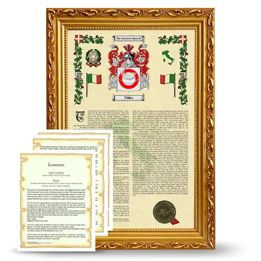 Vides Framed Armorial History and Symbolism - Gold