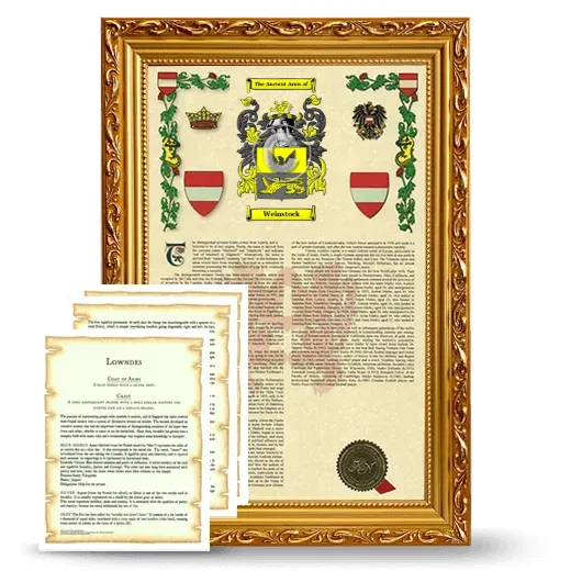 Weinstock Framed Armorial History and Symbolism - Gold