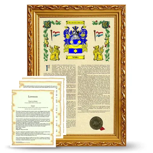 Wildtz Framed Armorial History and Symbolism - Gold