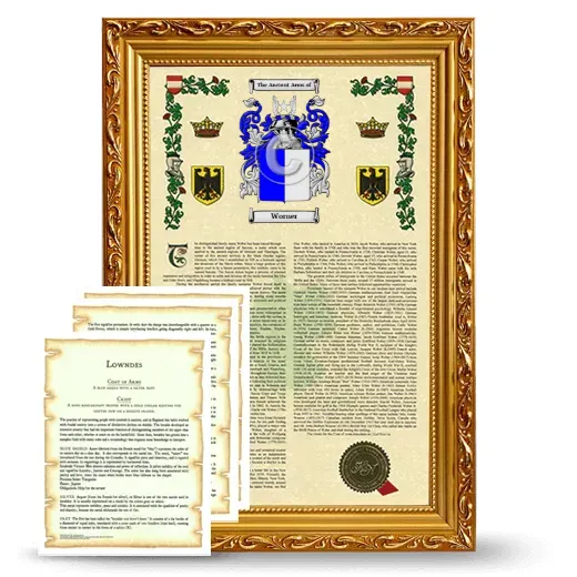 Worner Framed Armorial History and Symbolism - Gold