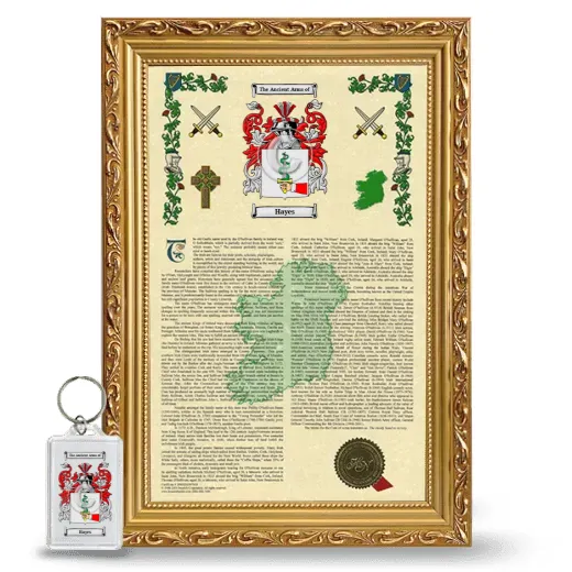 Hayes Framed Armorial History and Keychain - Gold