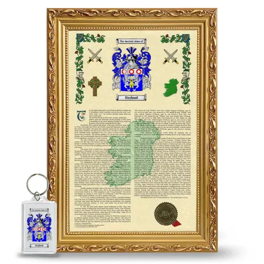 Hayland Framed Armorial History and Keychain - Gold