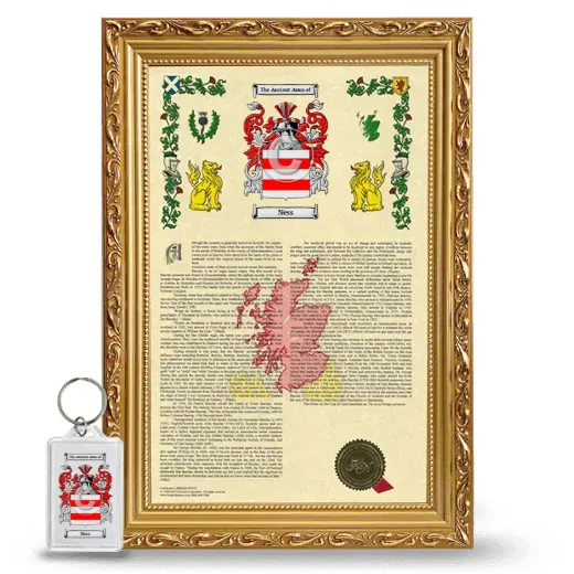 Ness Framed Armorial History and Keychain - Gold