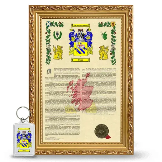 Pong Framed Armorial History and Keychain - Gold