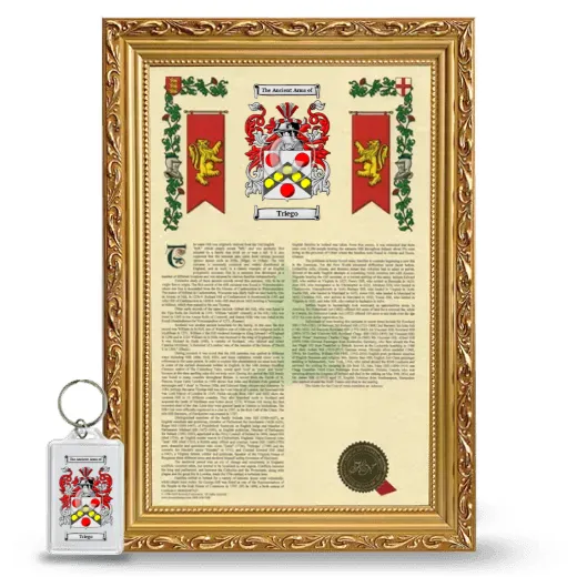 Triego Framed Armorial History and Keychain - Gold