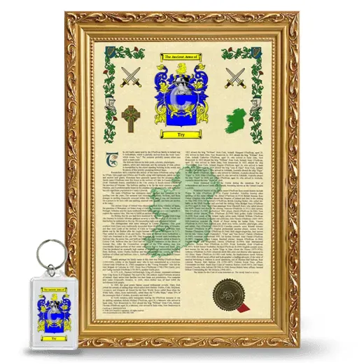 Try Framed Armorial History and Keychain - Gold