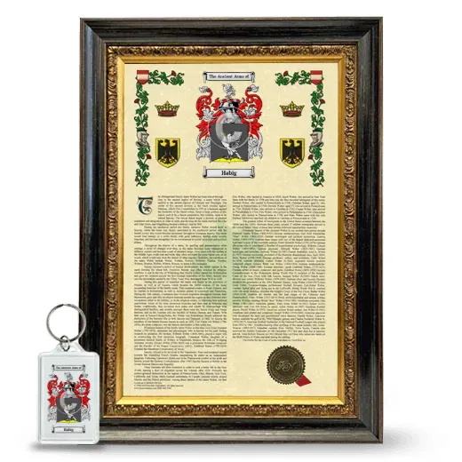 Habig Framed Armorial History and Keychain - Heirloom