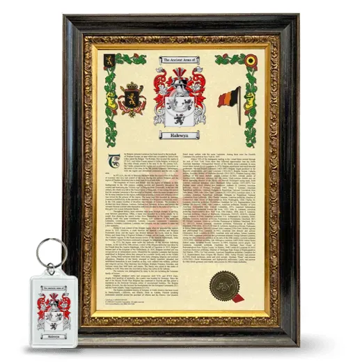 Halewyn Framed Armorial History and Keychain - Heirloom
