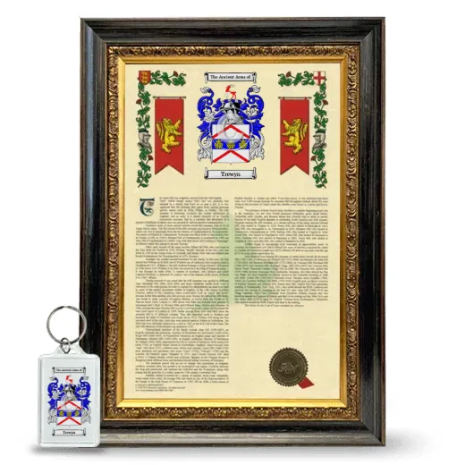 Trewyn Framed Armorial History and Keychain - Heirloom