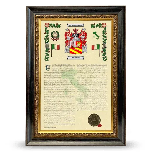 Andrioni Armorial History Framed - Heirloom