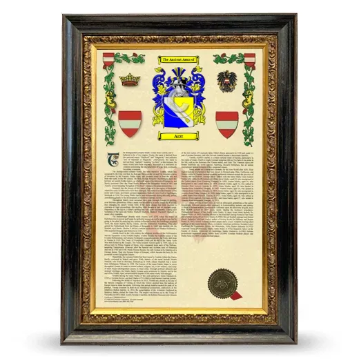 Arzt Armorial History Framed - Heirloom