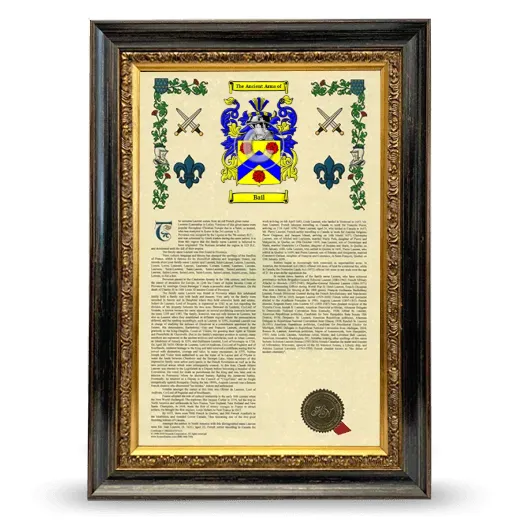 Bail Armorial History Framed - Heirloom