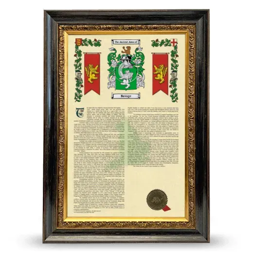 Bavage Armorial History Framed - Heirloom