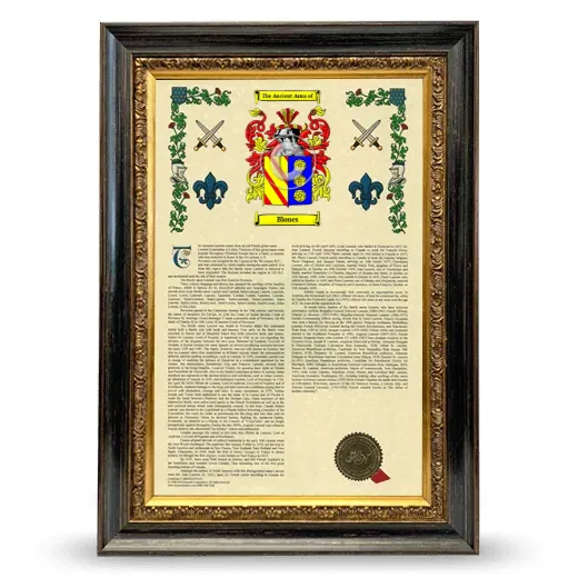 Bloues Armorial History Framed - Heirloom