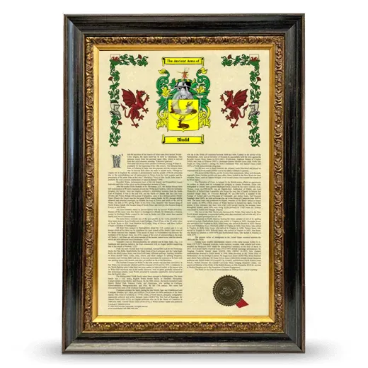 Bludd Armorial History Framed - Heirloom